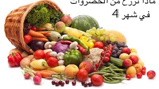 ماذا نزرع من الخضروات في شهر 4