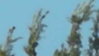 WILMINGTON CA  UFO 05/30/2014