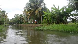 Kerala backwaters