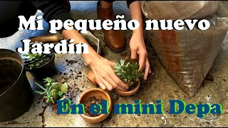 Mi nuevo jardín para el mini depa| Me estafaron con la monstera