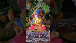 Ganesh festival celebrations || Anantapur #vinayakachaturthi #ganeshchaturthi #shorts