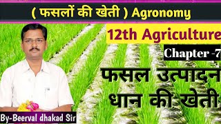 Agriculture 12th Class - फसल उत्पादन || Chapter -7 फ़सलों की खेती || धान की खेती ||Crop Production