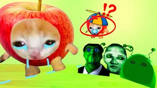 Sad Apple Cat Wants Me To Save Baby Apple Cat From Alien Family