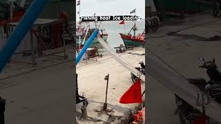 fishing boat ice loading #fishing #sea #fish #ytshorts