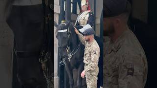 Don’t Worry Buddy🐎❤️ #youtubeshorts  #horseguardsparade  #thekingslifeguard