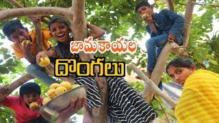 Jamakayala Dongalu / Radha Videos / జామకాయల దొంగలు / Maa Village Show