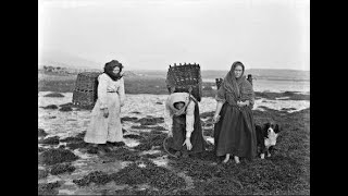 Lecture 17: Seaweed and its Wars - Ireland's Contested Resource by Cathal Dowd-Smith