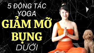 Bí Mật Tóp 5 Động Tác Yoga Giảm Mỡ Bụng Dưới Nhanh, Hiệu Quả | Yoga Như Quỳnh