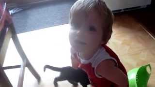 Cloth Diaper UH-OH! : VEDA (Aug 01 2014)