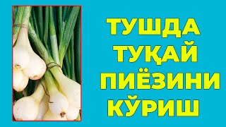 Туш табири - Тушда Тукай пиёзи куриш