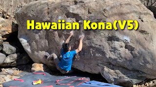 Hawaiian Kona(V5)/sts(V3), 봄을 그리다(V3)