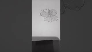 simple and easy drawing.Hibiscus flower#satisfying  sketch#trendingshorts #sketch #viral