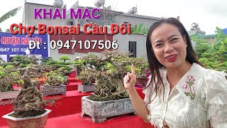 Tin Mới ! Trưng bày hơn 200 TP Đẹp tại chợ Bonsai CẦU ĐÔI - TT Yên Định - Hải Hậu .