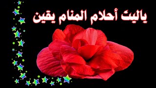 ياليت ❤️‍🔥 أحلام المنام يقين 🌹♥️