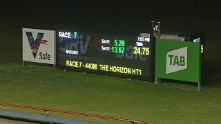 Sale greyhounds Sunday, May 31st 2021 - The Horizon (Heat One)