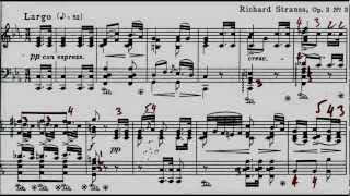 Richard STRAUSS KLAVIERSTÜCK op.3 no.3 Tibor Szász with fingerings