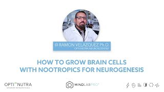 How to Grow Brain Cells with Nootropics for Neurogenesis | Mind Lab Pro®