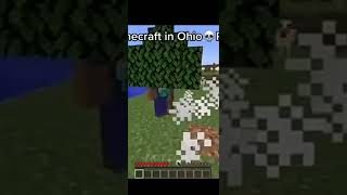 Minecraft exchange in human