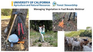 Forest Stewardship Managing Vegetation in Fuel Breaks Webinar