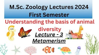 Diversity of Animal Kingdom | Lecture - 3| Msc Zoology Notes| Metamerism