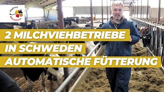 2 Milchviehbetriebe in Schweden mit hohen Milchleistungen auf unserer Schwedentour im Sommer 2024