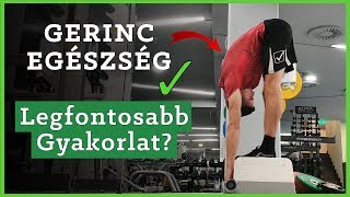 Gerinc Egészség Legfontosabb Gyakorlata?