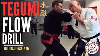 Supercharge Your SPARRING and SELF DEFENSE Skills With This TEGUMI Flow Drill