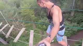 GoApe Tree Top Adventure - Forest of Dean