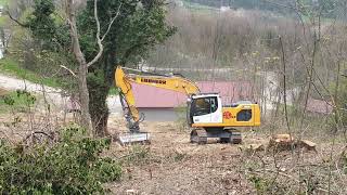 NEW LIEBHERR R922 clearing a wood - San Giovanni d'Antro, Italy