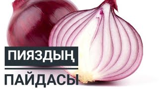 ПИЯЗДЫҢ ПАЙДАСЫ...КӨБІСІ БІЛЕ БЕРМЕЙДІ#пияздың пайдасы#kerek