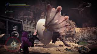 Back to the mon hun world grind - HBG vs Paolumu