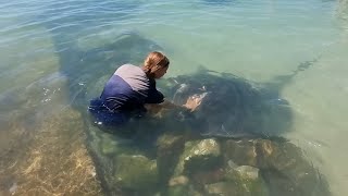 Feeding a Stingray! #stingray #sea #ocean