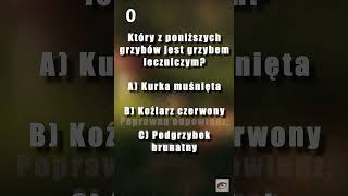 Który z Tych Grzybów cię Wyleczy? | #quiz #ciekawostki #polska #mini #top #dlaciebie