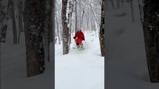 Tree skiing at Tremblant 🇨🇦