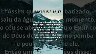 MATEUS 3:16,17 | O ESPÍRITO DE DEUS DESCEU COMO POMBA