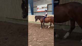 So good little pony❤️🥰 #pony #shortvideo #horse #cutepony #cute #love #horseriding #riding