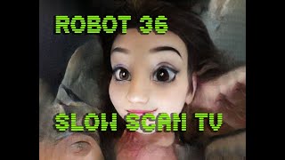 0091 Toonify SSTV Robot36