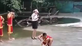 New best funny video l snack funny video l with crocodile