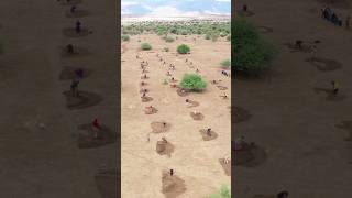 Why are holes dug in Africa? #shorts #youtubeshorts