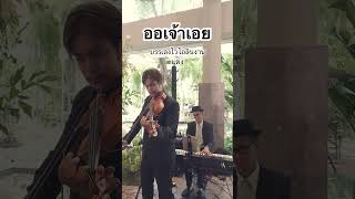 ออเจ้าเอย เพลงบรรเลงไวโอลินงานแต่ง #วงดนตรีงานแต่ง #ไวโอลิน #เปียโน #ตองพี