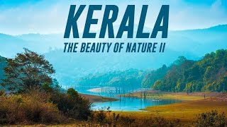 kerala beauty of india #kerala  #india #familyvlog #apnaandaz #englandvlog