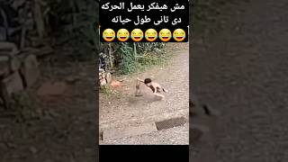 اضحك مع الطفل العسل ده😂😂