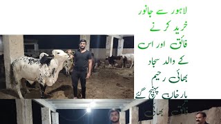 لاہور سے جانور purchase کر نےفائق  اور ان کے والد رحیم یار خان پہنچےفائق   نے ایک بہت اچھا مشورہ دیا