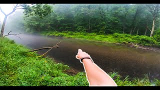 SERENE Fishing for Wild Brown Trout on Summer Morning