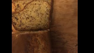 Banana Bread South African style recipe