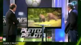 El Intermedio-Punto pelota video manipulado orangutan