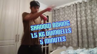 Training Challenge Day 427 - Shadow boxing with 1.5KG weights 5 minutes #1