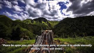 the most beautiful quran Recitation by idris abkar    Healing for hearts   english translation    ᴴᴰ