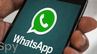 Spy on WhatsApp Accounts & Messages