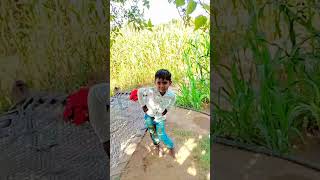 RakeshBarot NewSong 😎😎#short#shorts#rakeshbarot #thakorprince411//rakesh barot new song 2023//